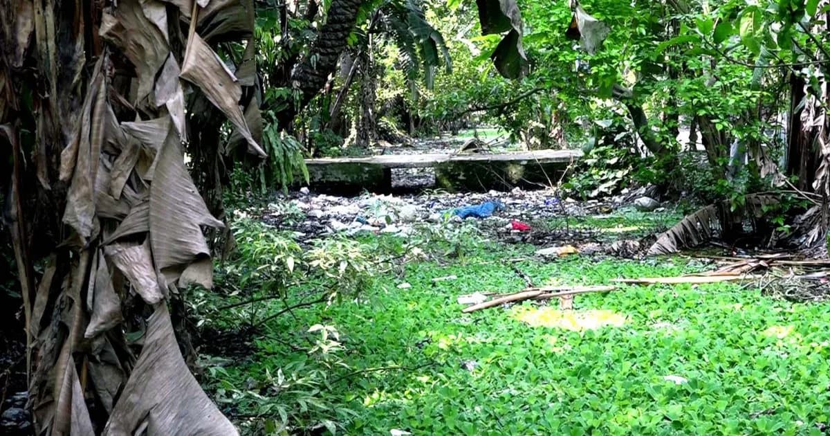 প্রভাবশালীদের দখলে জিয়া খাল, উদ্ধার করে খননের দাবি স্থানীয়দের