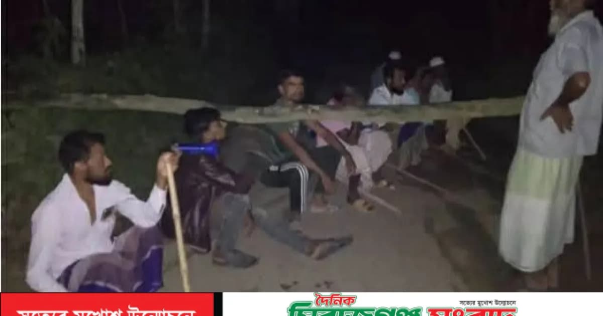 তাড়াশে গরু চুরি ঠেকাতে রাস্তায় গাছ ফেলে রাতভর পাহারা গ্রামবাসীর