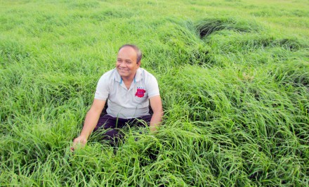 কোন পেশাই ছোট নয়, সব পেশাকে সম্মান করুন