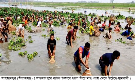 শাহজাদপুরে ঐতিহ্যবাহী পলো উৎসবে মেতেছে বাউতের দল