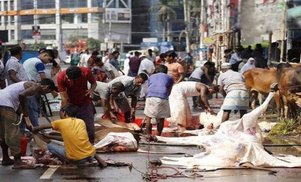 পশু কোরবানিতে ব্যস্ত নগরবাসী