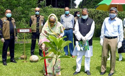 সারাদেশে ১ কোটি বৃক্ষের চারা বিতরণ ও রোপণ কর্মসূচির উদ্বোধন