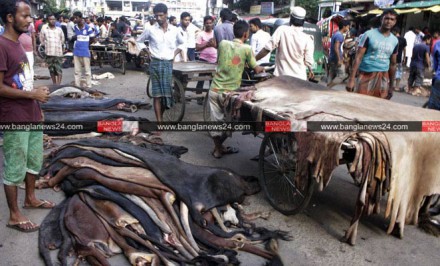 চামড়া কেনার ঋণ কারা পান, দাম পড়ে যায় কেন?