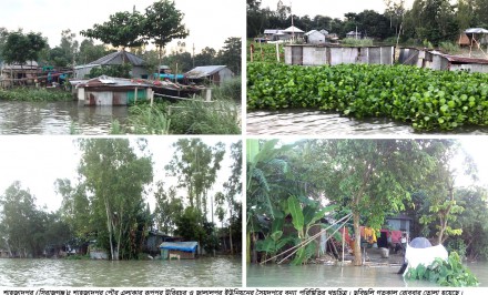 শাহজাদপুরে ৯ হাজার পানিবন্দী পরিবারে দুর্ভোগ চরমে