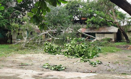 কালবৈশাখী ঝড়ে লন্ডভন্ড এফডিসি