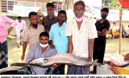 শাহজাদপুরের নদীগুলোতে নির্বিচারে পোনা ও ডিমওয়ালা মাছ নিধনের মহোৎসব