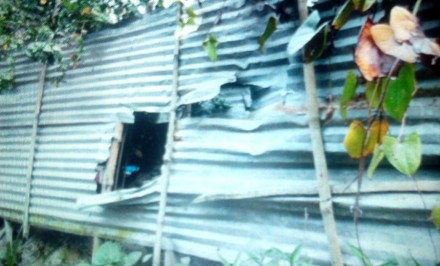 শাহজাদপুরে বিএনপির কর্মীর বাড়িতে হামলা; আহত ৩