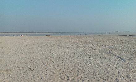 কমছে পানি জাগছে চর বাড়ছে কৃষকের হাহাকার