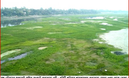 খরস্রোতা করতোয়া শুকিয়ে এখন ফসলের মাঠ!