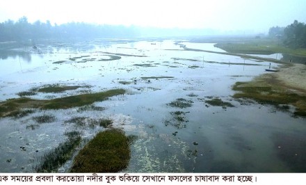 উত্তরাঞ্চলের নদ-নদী মরা খালে পরিণত!