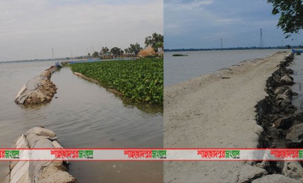 শাহজাদপুরে বন্যার পানিতে ভেঙ্গে গেছে নির্মাণাধীন রবীন্দ্র বিশ্ববিদ্যালয়ের স্থায়ী ক্যাম্পাসে যাতায়াত সড়ক