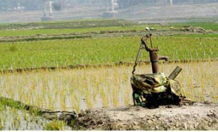 শাহজাদপুরের প্রায় সহস্রাধিক নলকূপ চালিত ইরি-বোরো স্কিমে পানির সংকট; কৃষকের বিপাকে