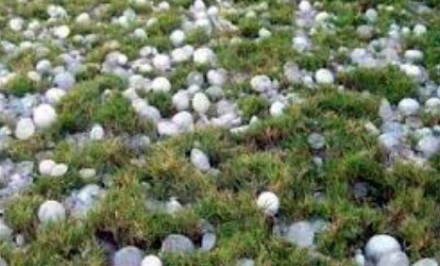 এনায়েতপুরে শিলাবৃষ্টির আঘাতে কৃষক নিহত