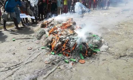 শাহজাদপুরে মা ইলিশ ধরায় ৪ জনের জরিমানা, মাছ ও জাল জব্দ