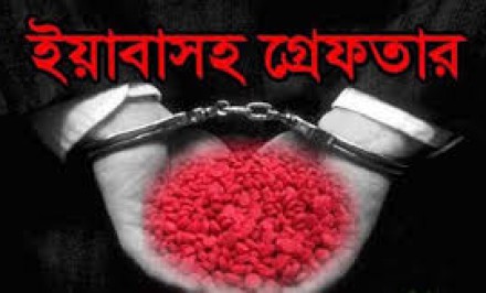 উল্লাপাড়ায় ইয়াবাসহ মাদক ব্যবসায়ী গ্রেফতার