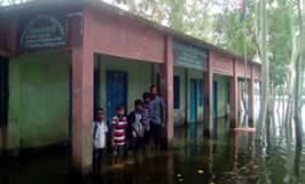 উল্লাপাড়া চরভাটবেরা প্রাথমিক বিদ্যালয়টি বছরের চার মাসই শিশুদের স্কুলে যাওয়ার ভরসা নৌকা