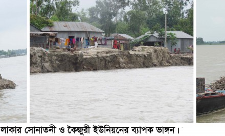 শাহজাদপুরের যমুনার ভয়াবহ ভাঙ্গণে সহস্রাধিক বাড়ি-ঘর বিলীন