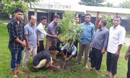 শাহজাদপুর কোর্ট চত্বরে বৃক্ষ রোপন