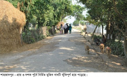 শাহজাদপুরের ৪ কিঃমি ‘মুজিব বাঁধ’ চলাচলের অযোগ্য : ১৪ গ্রামের অর্ধলক্ষাধিক মানুষের ঝুঁকিপূর্ণ চলাচল