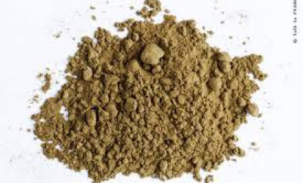 শাহজাদপুরে ৬ গ্রাম হেরোইনসহ ২ হেরোইন ব্যবসায়ী গ্রেফতার