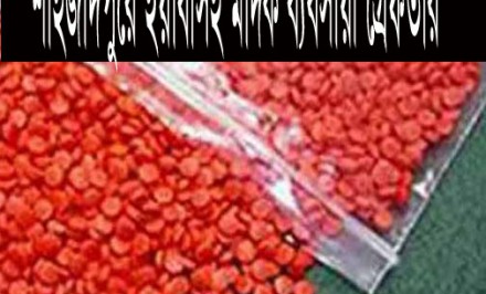 ﻿﻿শাহজাদপুরে ইয়াবাসহ মাদক ব্যবসায়ী গ্রেফতার