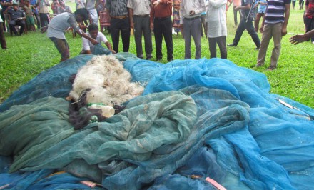 শাহজাদপুরে আটক কারেন্ট, বাদাই, মশুরি জালে আগুন