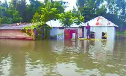 শাহজাদপুরে বন্যা পরিস্থিতির ক্রমাগত অবনতি ঘটছে