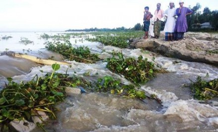 সিরাজগঞ্জে যমুনার তীর সংরক্ষণ বাঁধে ধস