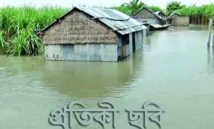 উল্লাপাড়ার ১২০টি গ্রাম প্লাবিত- ১৪০ হেক্টর জমির ধান পানির নিচে