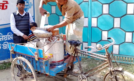 শাহজাদপুরে পানির চেয়ে দুধের দাম কমঃ কৃষক দিশেহারা