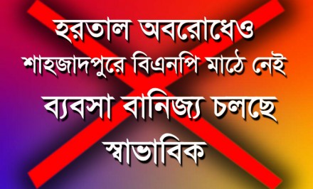 হরতাল অবরোধেও শাহজাদপুরে বিএনপি মাঠে নেই; ব্যবসা বানিজ্য চলছে স্বাভাবিক