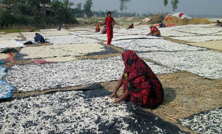 শাহজাদপুরে ঝুরি তৈরি করে স্বাবলম্বি এক হাজার পরিবার