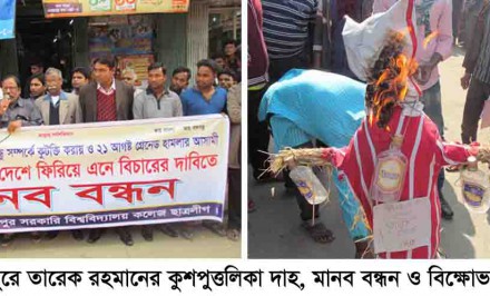 বঙ্গবন্ধু সম্পর্কে তারেক জিয়ার কটুক্তির প্রতিবাদে শাহজাদপুরে ছাত্রলীগের মানববন্ধন ও কুশপুত্তলিকা দাহ