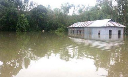 বন্যায় চৌহালীর মুরাদপুর চরে একজনের মৃত্যু