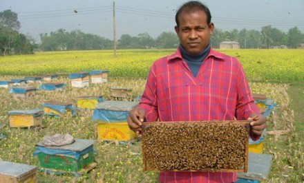 অল্প পুঁজি, কম শ্রম-কৃত্রিম চাষ, স্বাবলম্বী হওয়া সম্ভব গ্রামগঞ্জে হারিয়ে যাচ্ছে মৌমাছি