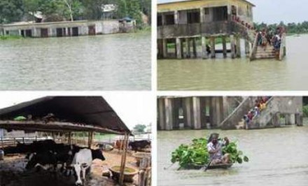 বন্যা কবলিত সিরাজগঞ্জের ৬০ ইউনিয়ন, দুর্ভোগ চরমে