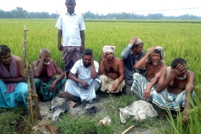 পানির অভাবে ২১ বিঘা ধানের ক্ষেত ফেটে চৌচির